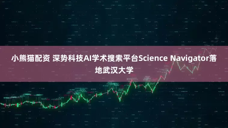小熊猫配资 深势科技AI学术搜索平台Science Navigator落地武汉大学