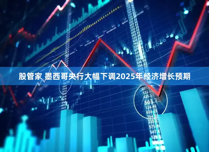 股管家 墨西哥央行大幅下调2025年经济增长预期