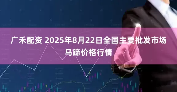 广禾配资 2025年8月22日全国主要批发市场马蹄价格行情